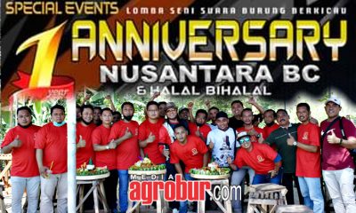 First Anniversary Nusantara BC Jember