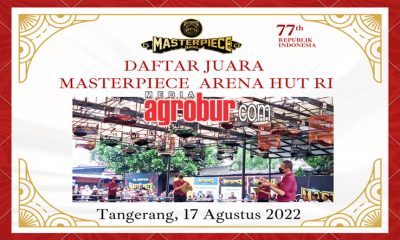 Masterpiece Arena HUT RI Ke-77