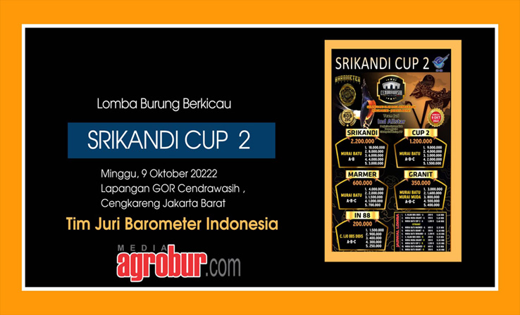 Jelang Srikandi Cup 2
