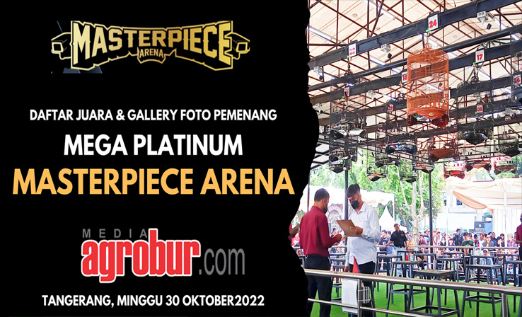 Mega Platinum Masterpeice Arena