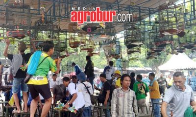 Piala Gubnernur Jatim Khofifah Cup 2 Surabaya