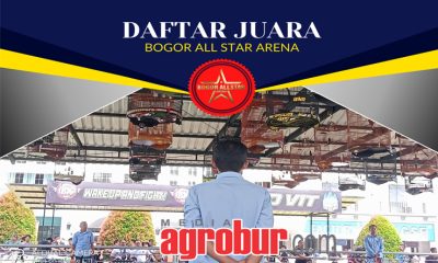 Bgoro All Star Arena