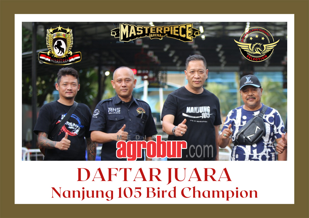 Nanjung 105 Bird Champion