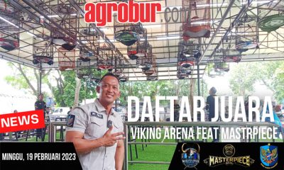 Road Show Viking Arena Masterpiece