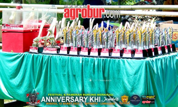 Anniversary KHI Jember