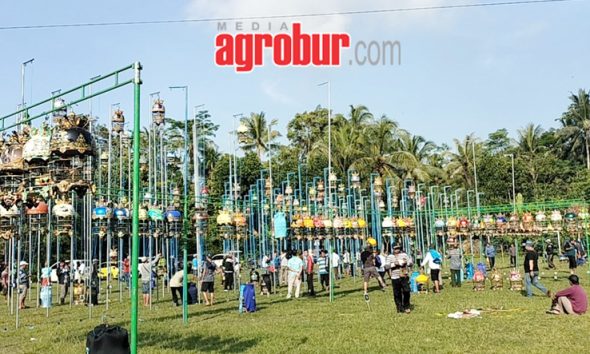 Ladini Wali Jagat Cup Lumajang