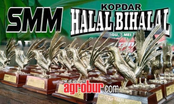 Kopdar SMM Halal Bihalal