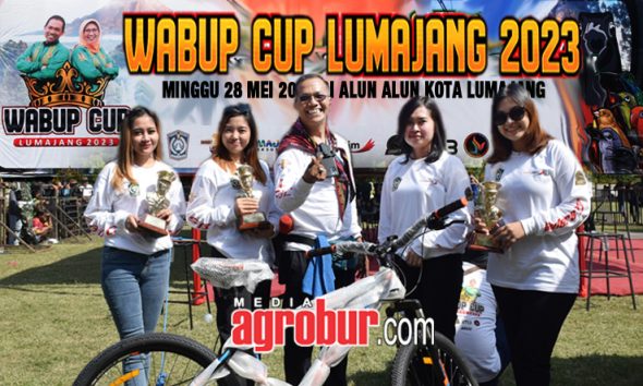 Wakil Bupati Cup Lumajang