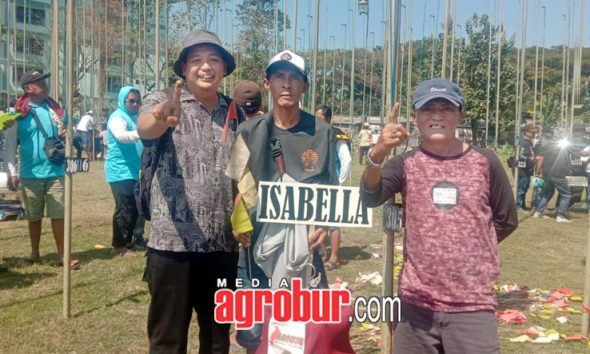 Indara AM Jember