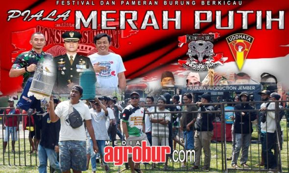 Piala Merah Putih Jember