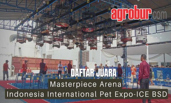 Masterpiece feat IIPE Tangerang
