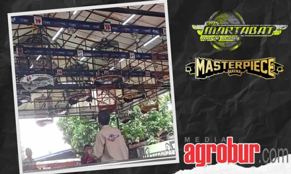 3M feat Masterpiece Arena