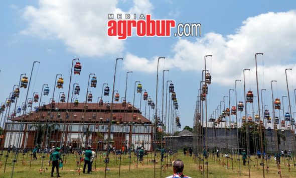 Pariwisata Cup Bali