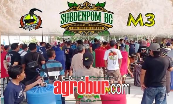 Laga M3 Subdenpom BC Jember