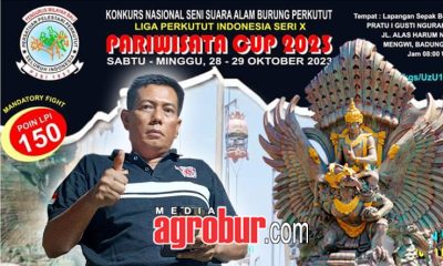 Pariwisata Cup Bali