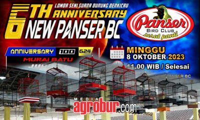 6th New Panser BC Jember