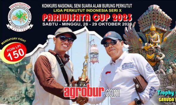 Road To LPI Bali