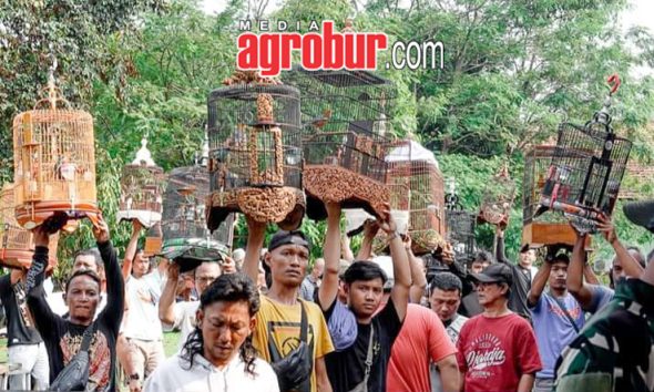 Roda Jaya Cup Jakarta