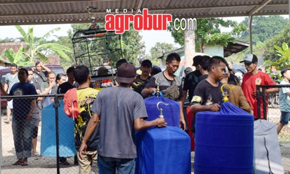 Laga M1 Subdenpom BC Jember