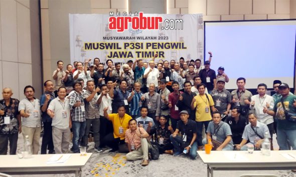 Muswil P3Si Jawa Timur