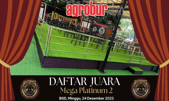 Mega Platinum 2