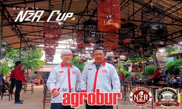 Road to NzR Cup 2