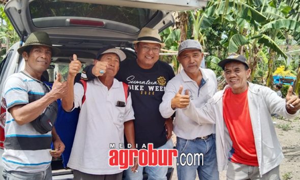 Ladinil Srengat Blitar