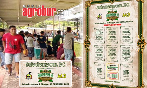 Laga M3 Subdenpom BC Jember