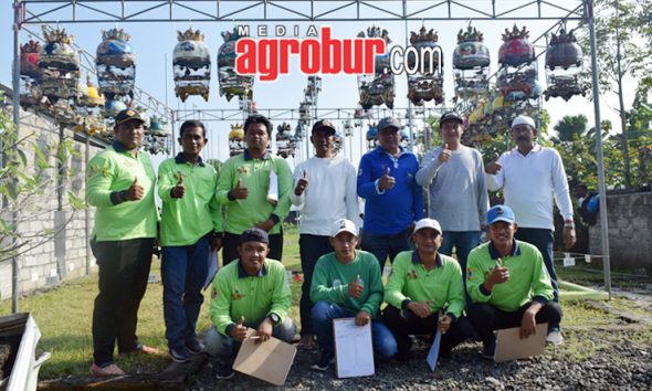 Liga Hanging Pro Pemula Jember