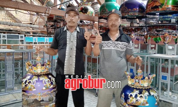 IMR BF Lumajang