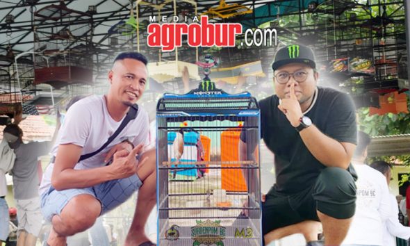 Laga M3 Subdenpom BC Jember