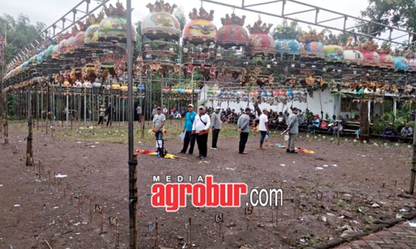 Latber PSM Cup II Probolinggo