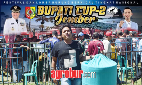 Bupati Cup 2 Jember