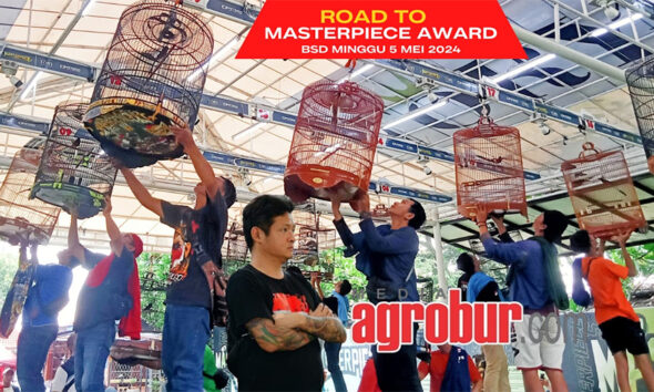 Road to Masterpiece Arena