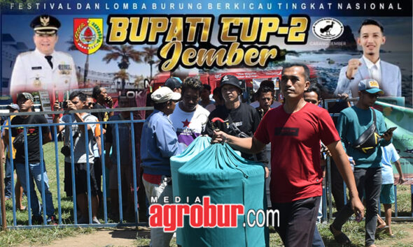 Bupati Cup 2 Jember