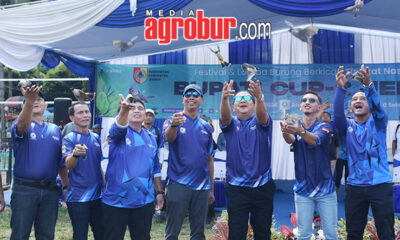 Bupati Cup 2 Jember