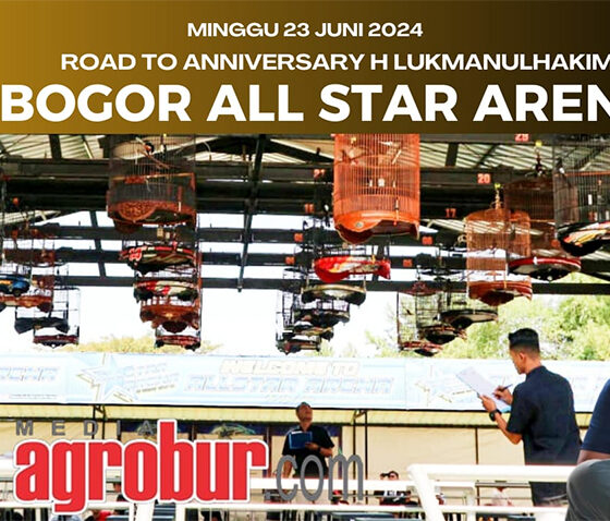 Bogor All Star Arena