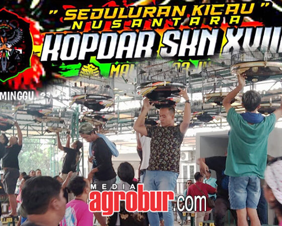 Kopdar SKN XVIII Malang