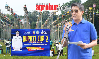 Bupati Cup 2 Jember