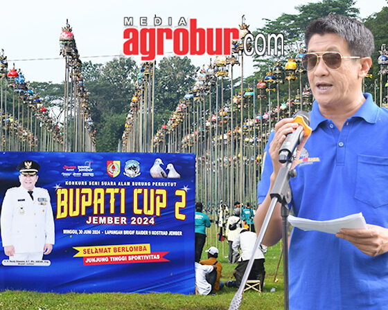 Bupati Cup 2 Jember