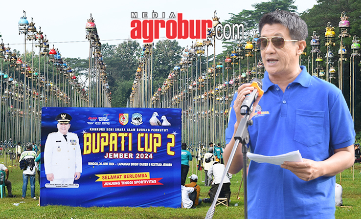 Bupati Cup 2 Jember