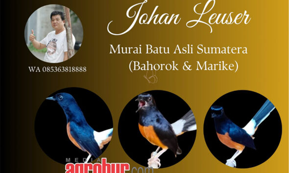 Johan Leuser Pekan Baru