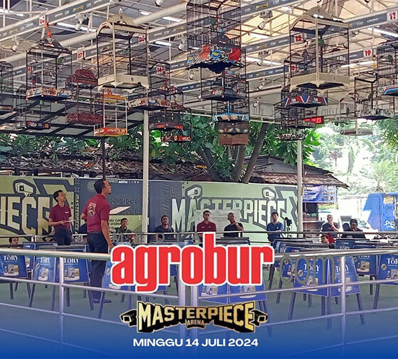 Masterpiece Murai Batu Fiesta