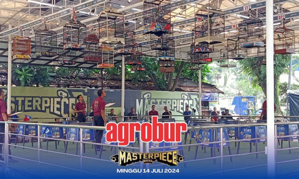 Masterpiece Murai Batu Fiesta