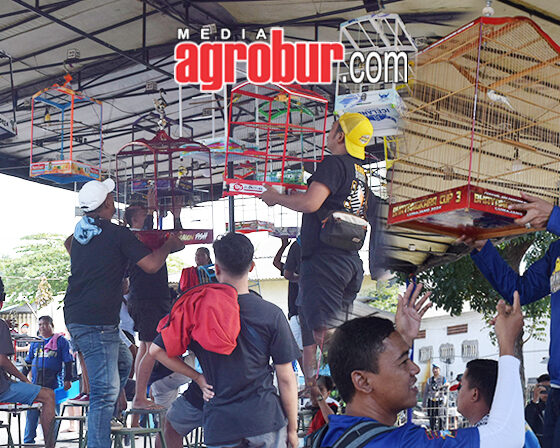 Bhayangkara Lumajang Cup 3