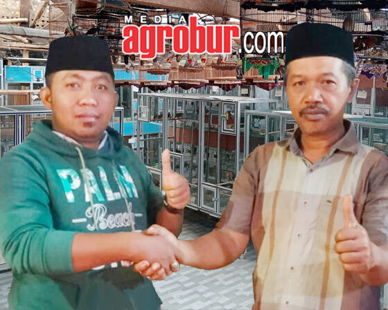 IMR BF Lumajang