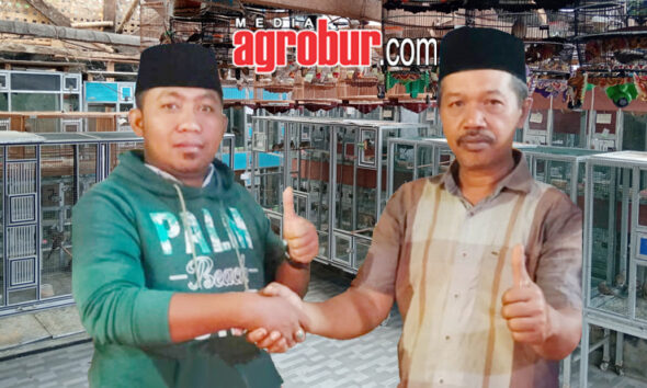 IMR BF Lumajang