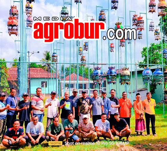 Kolom Kebun Roto Sumenep