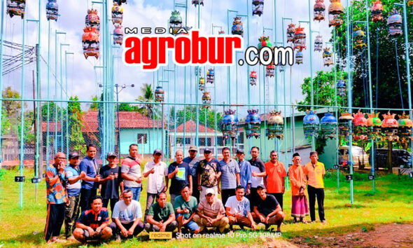 Kolom Kebun Roto Sumenep