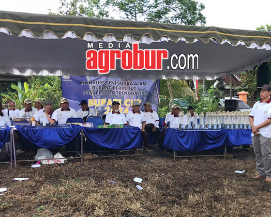Bupati Cup Trenggalek